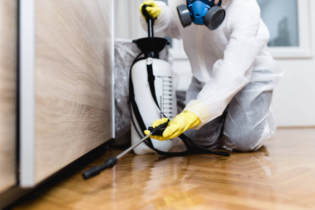 Best Exterminator Services  in Montague, CA
